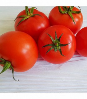 Pomidor zwykły kg